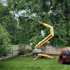 Best Firewood Processing and Delivery  in Fivepointville, PA